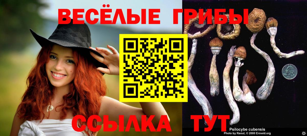 Псилоцибиновые грибы ЛСД  Вход с VPN  Бийск  Псилоцибиновые грибы Psilocybine cubensis 