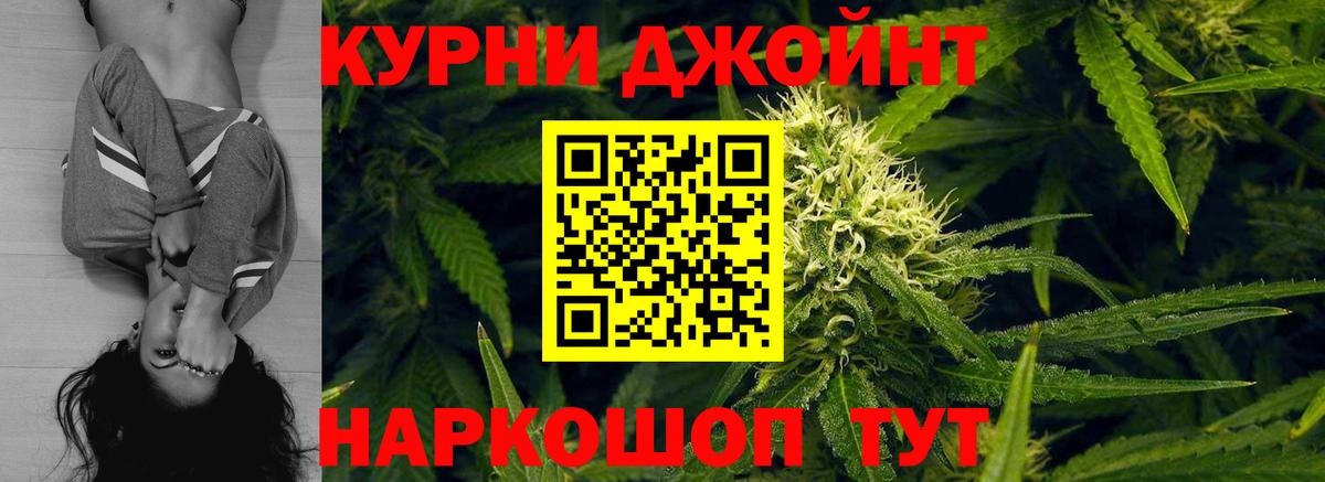 Бошки Шишки тримм  Вход с VPN  Бийск  Канабис план  Канабис сатива 